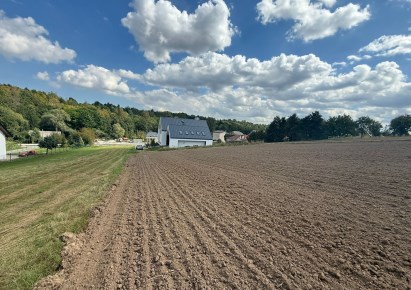 działka na sprzedaż - Zielonki, Garliczka