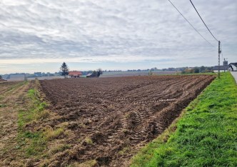 działka na sprzedaż - Iwanowice, Celiny