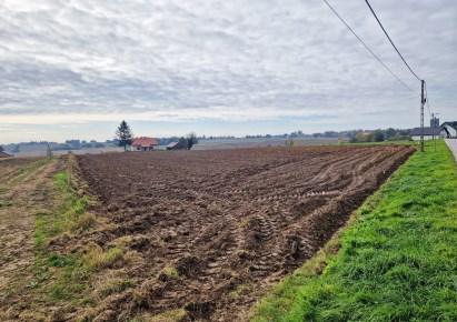 działka na sprzedaż - Iwanowice, Celiny
