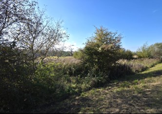 działka na sprzedaż - Zielonki