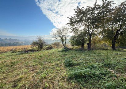 działka na sprzedaż - Zielonki, Owczary