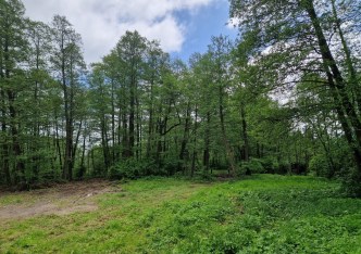 działka na sprzedaż - Skała (gw), Zamłynie