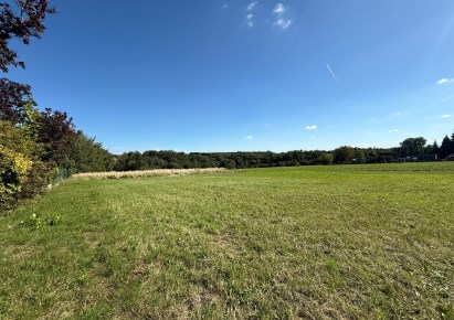 działka na sprzedaż - Zielonki, Wola Zachariaszowska