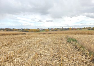 działka na sprzedaż - Zielonki, Owczary