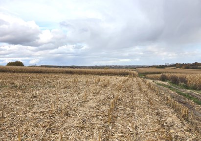 działka na sprzedaż - Zielonki, Owczary