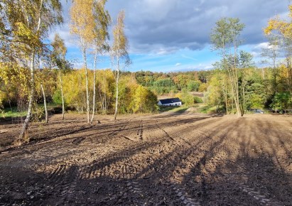 działka na sprzedaż - Zabierzów, Balice