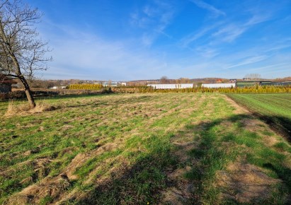 działka na sprzedaż - Michałowice (gw), Masłomiąca