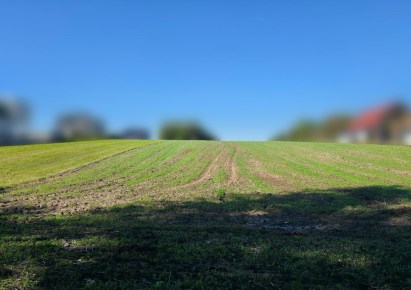 działka na sprzedaż - Kraków, Prądnik Biały, Witkowice