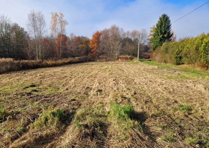 działka na sprzedaż - Kraków, Swoszowice, Wróblowice