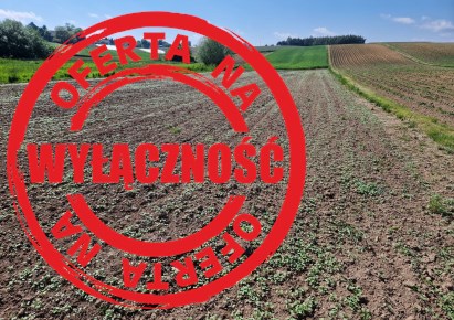 działka na sprzedaż - Michałowice (gw), Pielgrzymowice