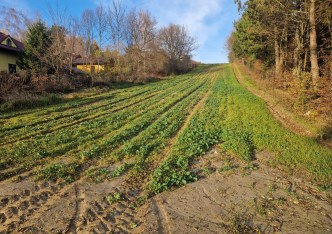 działka na sprzedaż - Iwanowice, Maszków