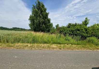 działka na sprzedaż - Zielonki, Grębynice