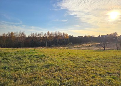 działka na sprzedaż - Zielonki, Grębynice