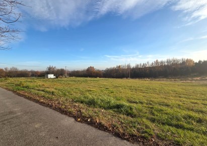 działka na sprzedaż - Zielonki, Grębynice
