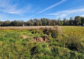 działka na sprzedaż - Zielonki, Januszowice