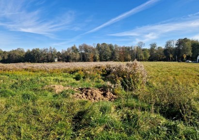 działka na sprzedaż - Zielonki, Januszowice