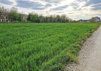 działka na wynajem - Zielonki