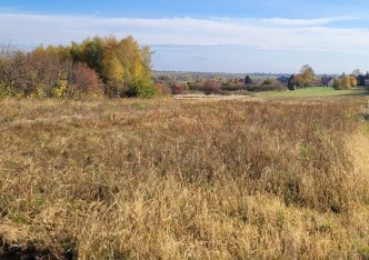 działka na sprzedaż - Skała (gw), Smardzowice