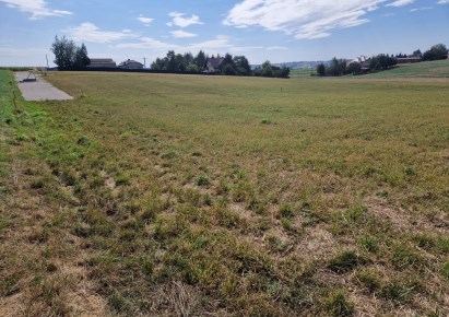 działka na sprzedaż - Iwanowice, Sieciechowice