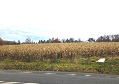 działka na sprzedaż - Zielonki, Januszowice