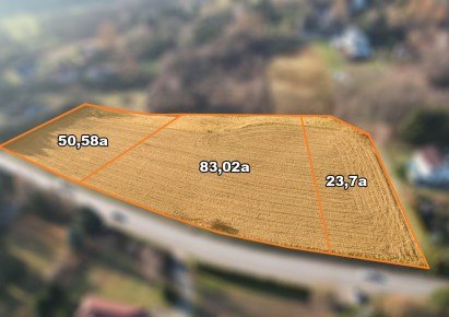 działka na sprzedaż - Zielonki, Januszowice