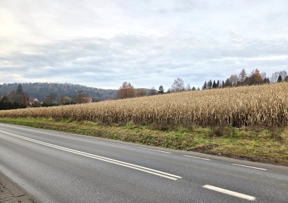 działka na sprzedaż - Zielonki, Januszowice
