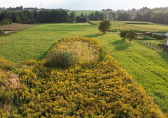 działka na sprzedaż - Zielonki
