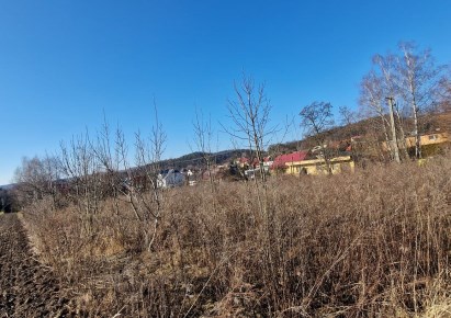 działka na sprzedaż - Zabierzów, Aleksandrowice