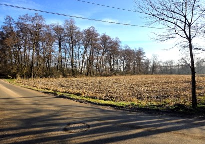 działka na sprzedaż - Zielonki