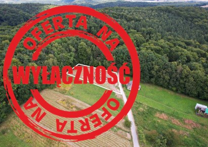 działka na sprzedaż - Wielka Wieś, Czajowice