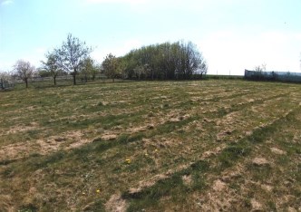 działka na sprzedaż - Zielonki, Owczary