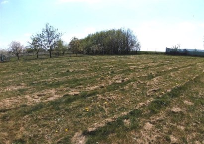 działka na sprzedaż - Zielonki, Owczary