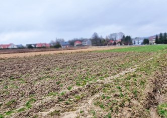 działka na sprzedaż - Wielka Wieś, Bębło