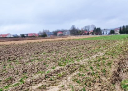 działka na sprzedaż - Wielka Wieś, Bębło