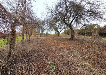 działka na sprzedaż - Skała (gw), Cianowice