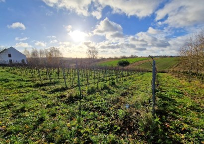 działka na sprzedaż - Skała (gw), Cianowice