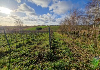 działka na sprzedaż - Skała (gw), Cianowice