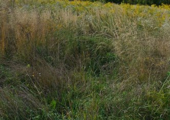 działka na sprzedaż - Zabierzów, Więckowice