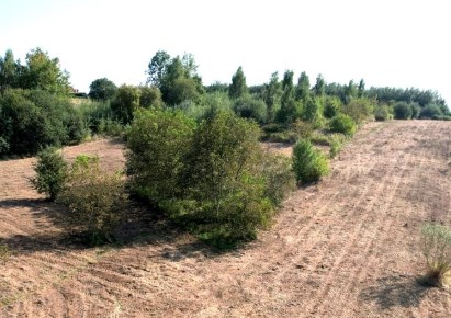 działka na sprzedaż - Zielonki, Marszowiec