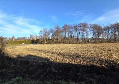 działka na sprzedaż - Zielonki, Pękowice