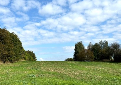 działka na sprzedaż - Skała (gw), Szczodrkowice