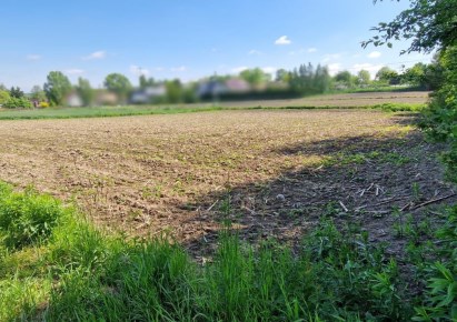 działka na sprzedaż - Wielka Wieś, Giebułtów