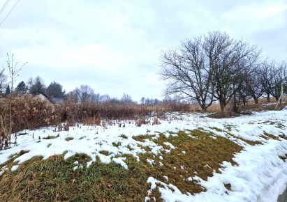działka na sprzedaż - Iwanowice, Narama