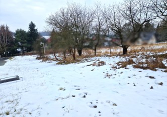 działka na sprzedaż - Iwanowice, Narama