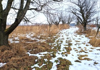 działka na sprzedaż - Iwanowice, Narama