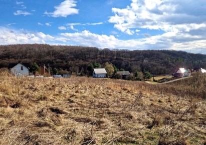 działka na sprzedaż - Zielonki, Owczary