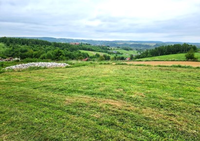 działka na sprzedaż - Michałowice (gw), Kozierów