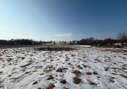 działka na sprzedaż - Zielonki
