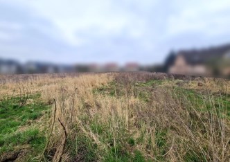 działka na sprzedaż - Zielonki