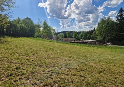 działka na sprzedaż - Zielonki, Januszowice